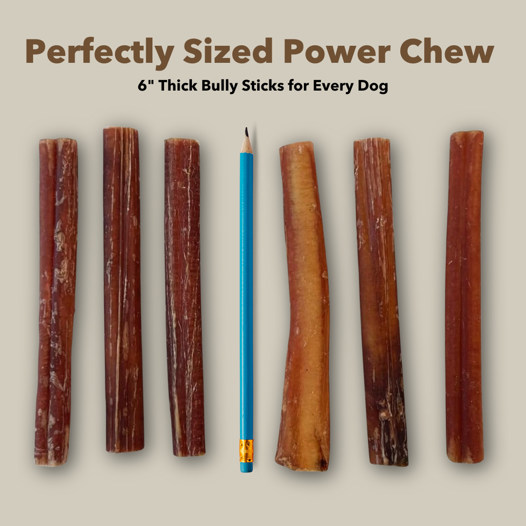 6" Thick Bully Sticks