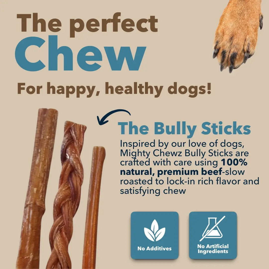 6" Thick Braided Bully Sticks