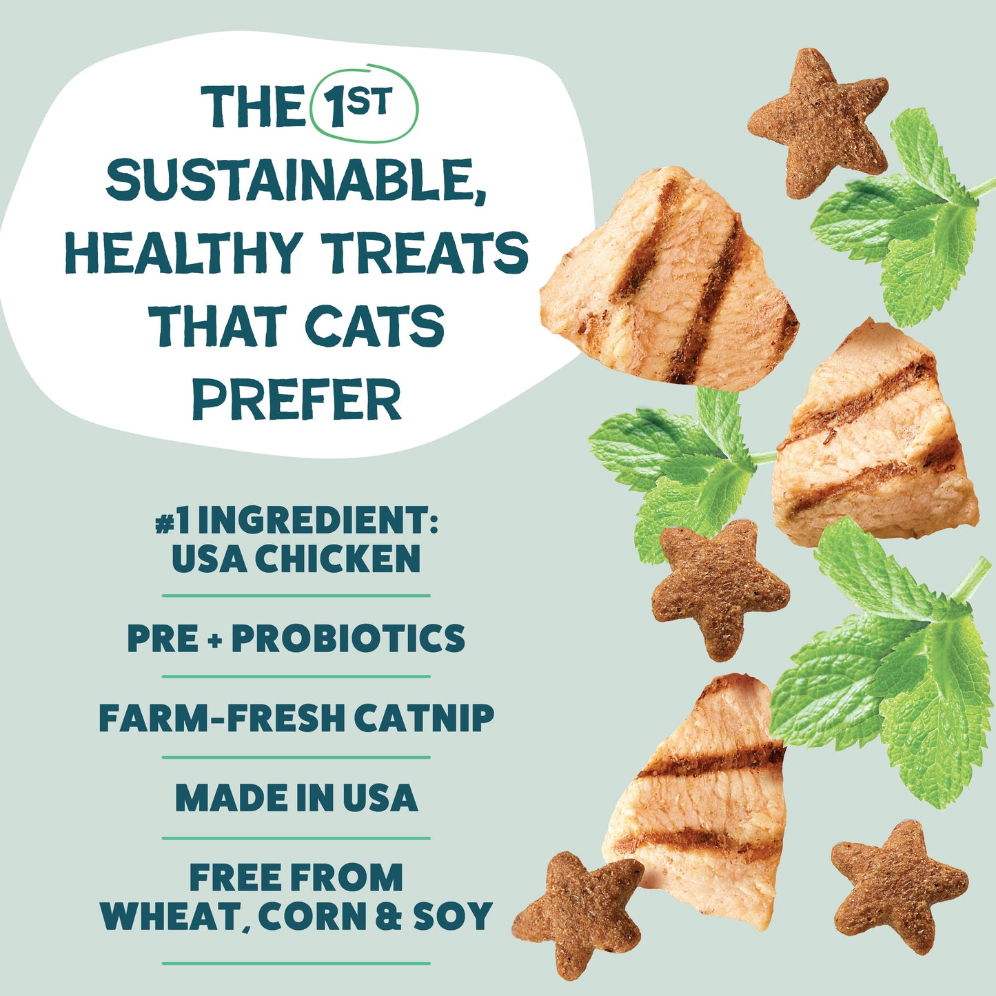 Chicken & Catnip Cat Treats — Digestive Support