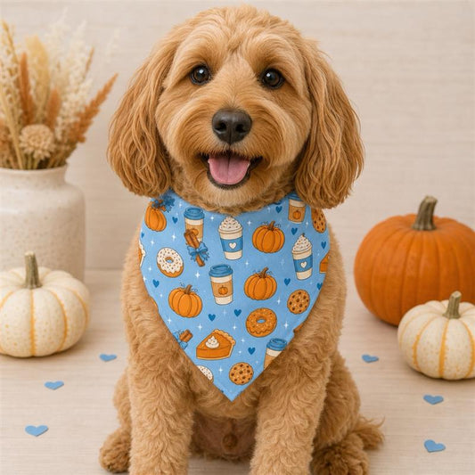 Pumpkin Spice Pet Bandana