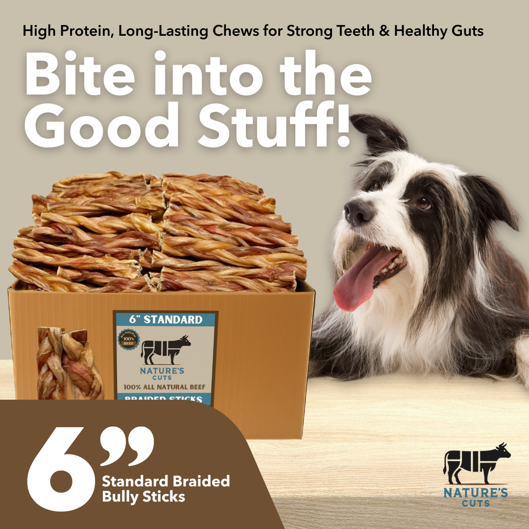 6" Standard Braided Bully Sticks $1.84/ stick (Case Price)