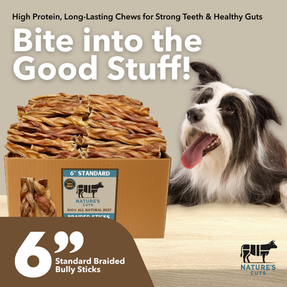 6" Standard Braided Bully Sticks $1.84/ stick (Case Price)