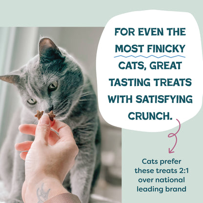 Chicken & Cranberry Cat Treats — Digestive Support
