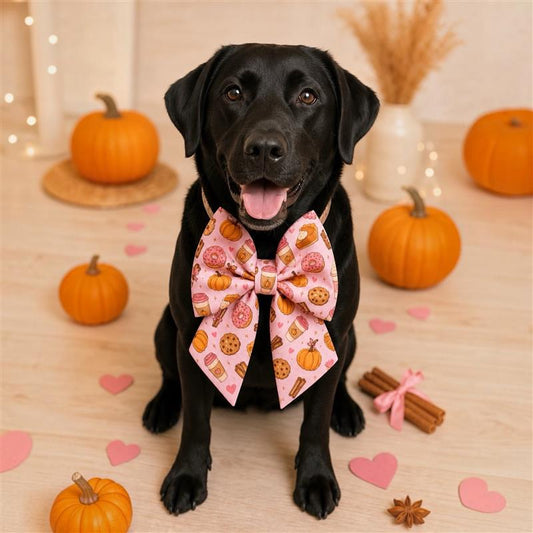 Pumpkin Spice Pet Sailor Bow