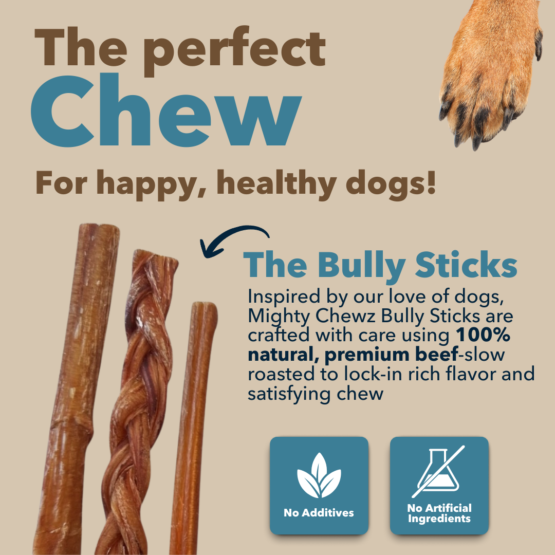 6" Standard Braided Bully Sticks $1.84/ stick (Case Price)