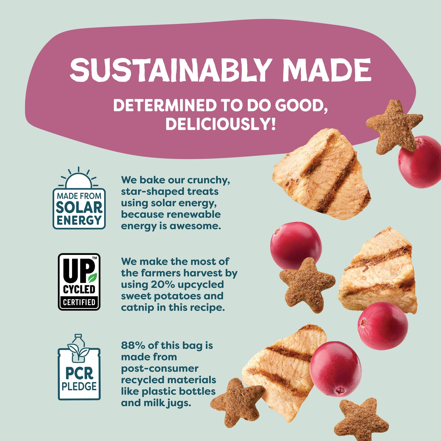 Chicken & Cranberry Cat Treats — Digestive Support