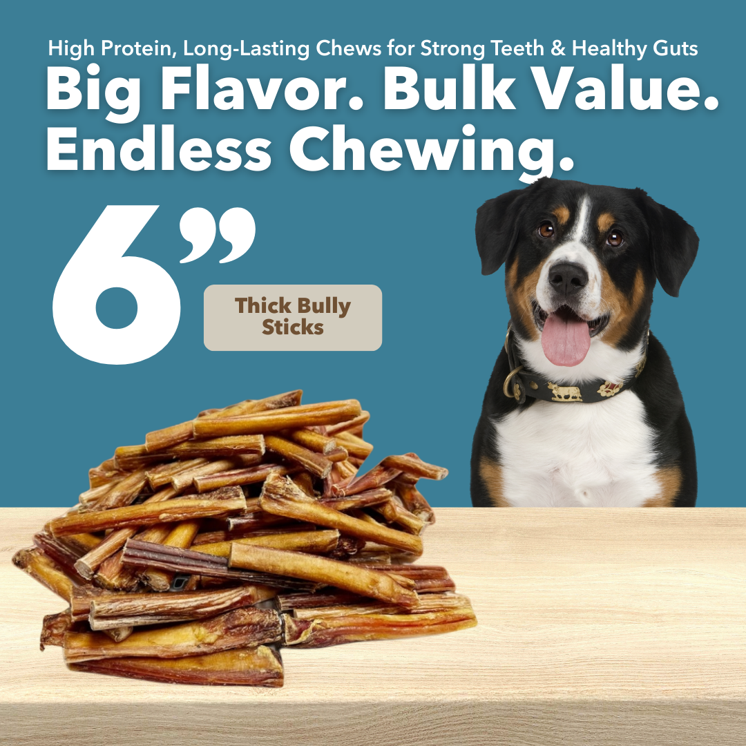 6" Thick Bully Sticks $1.70/ Stick (Case Price)