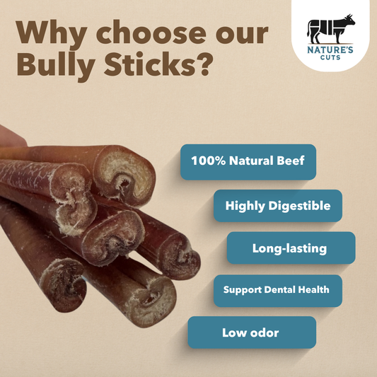 6" Thick Bully Sticks