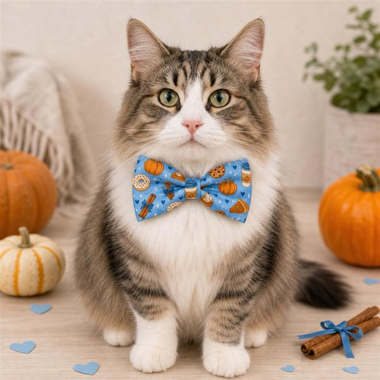 Pumpkin Spice Pet Bow Tie