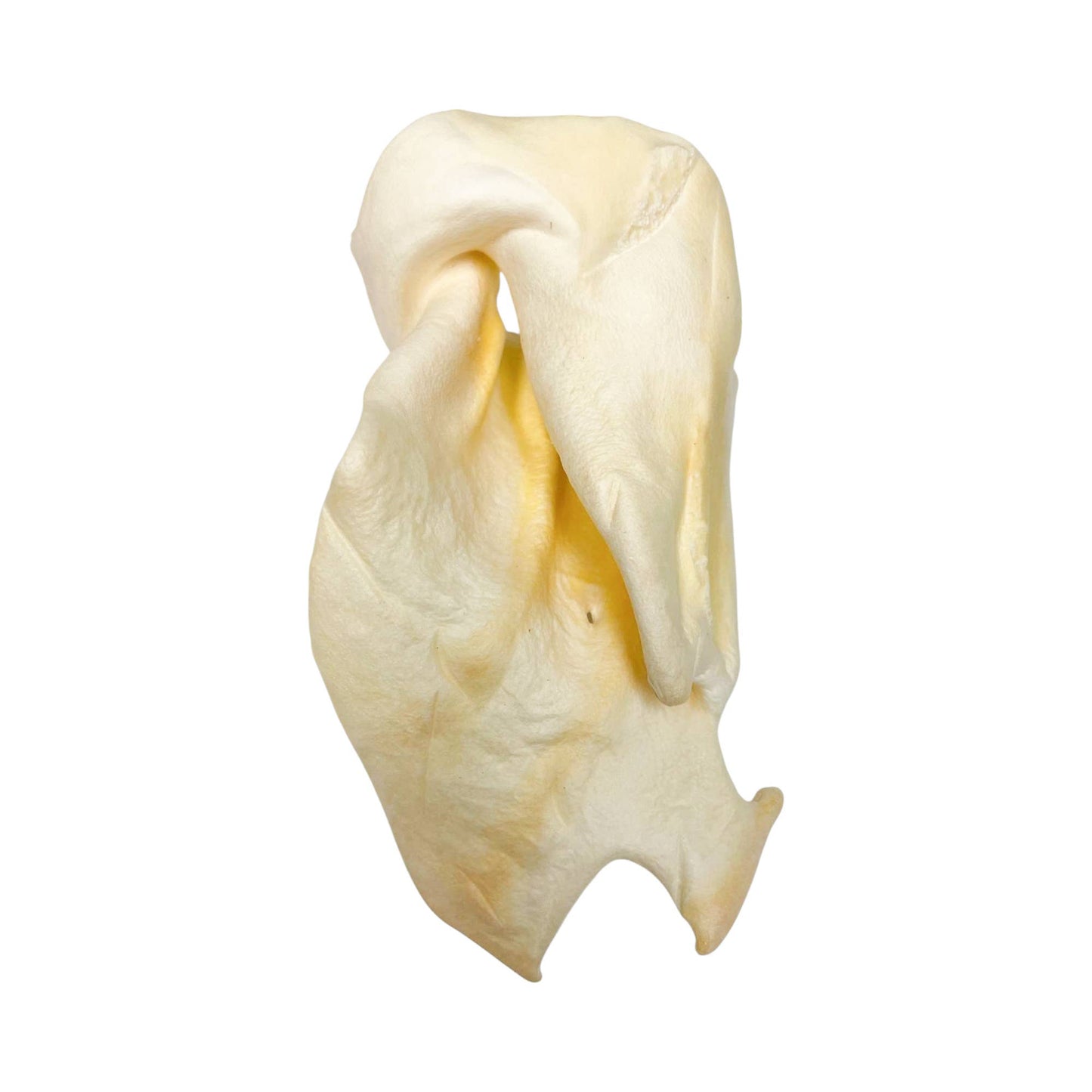 All-Natural Single Ingredient Cow Ear Dog Chews (25/Bag)