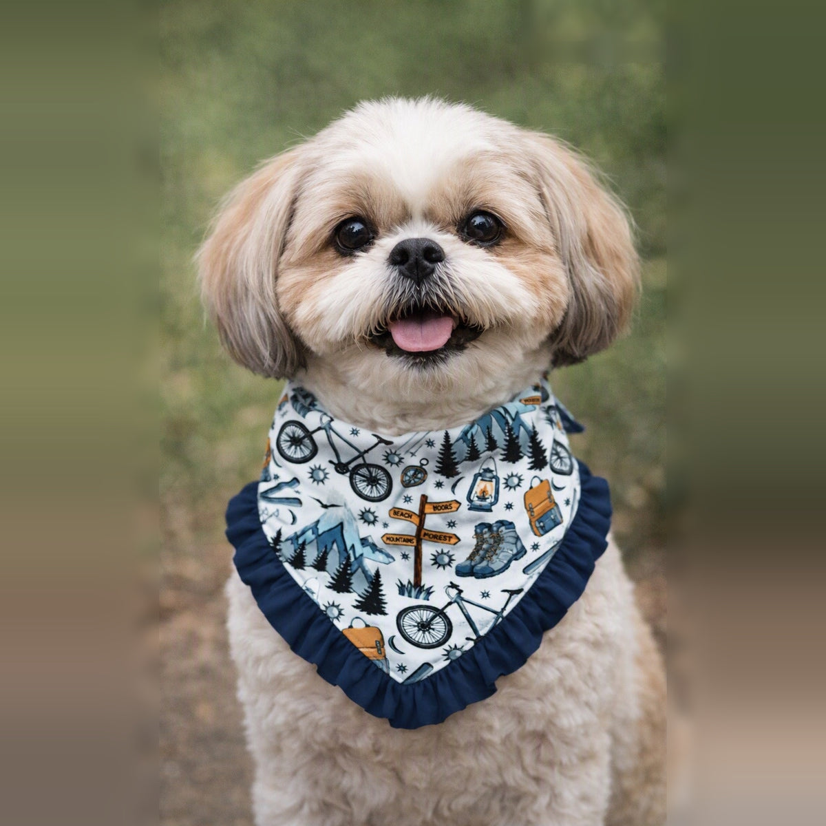 Adventure Awaits Ruffled Pet Bandana
