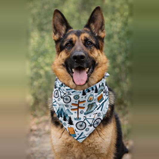 Adventure Awaits Pet Bandana