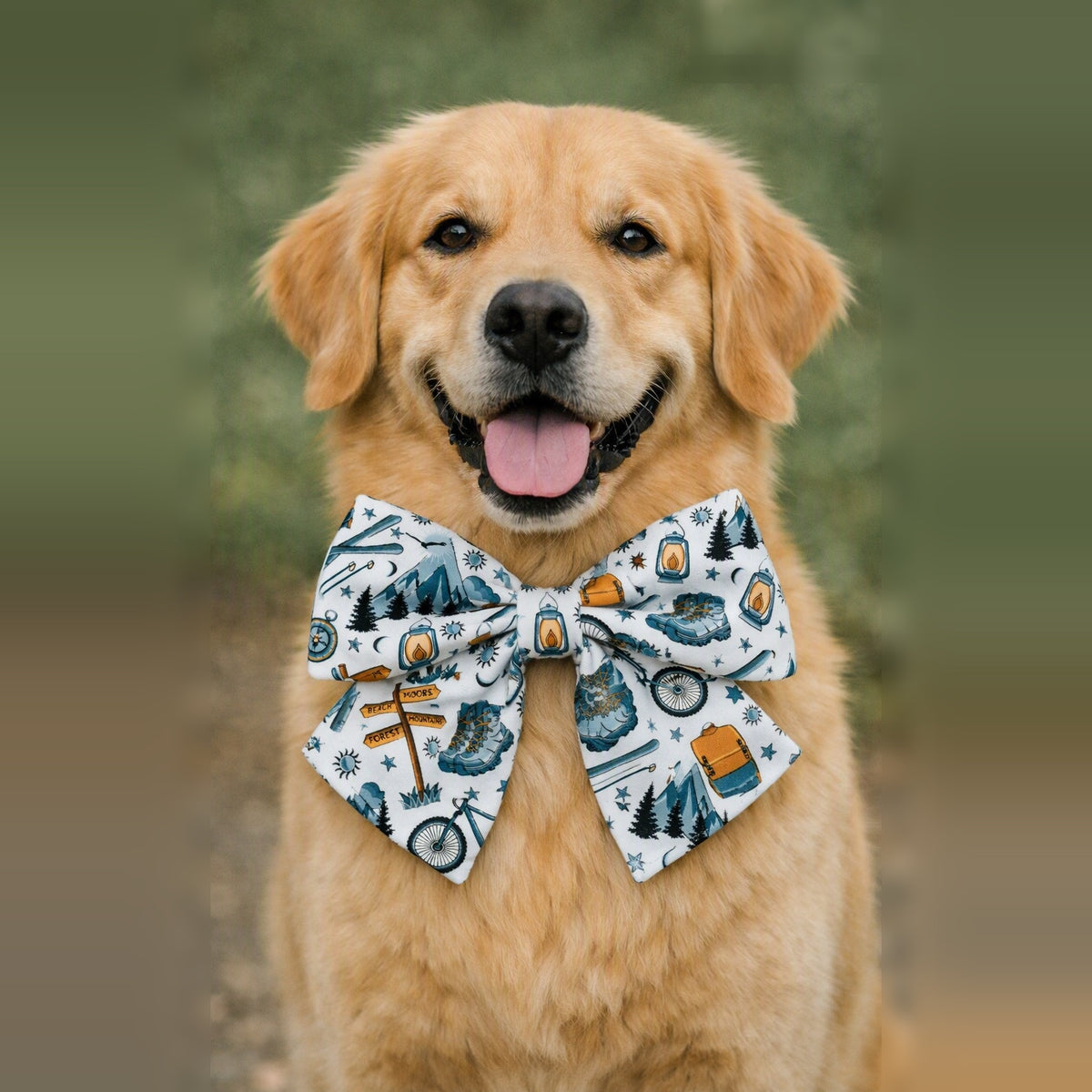 Adventure Awaits Pet Sailor Bow