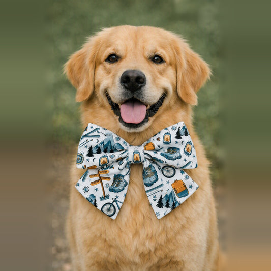 Adventure Awaits Pet Sailor Bow