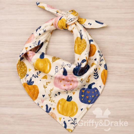 Pretty Pumpkins Pet Bandanas