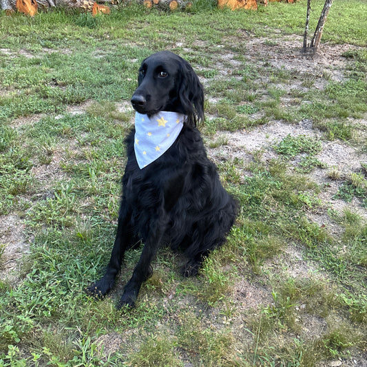 Handmade Scrunchie Bandana