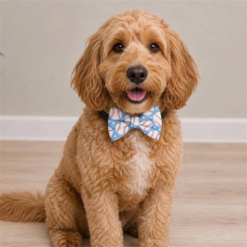 Homerun Heroes Pet Bow Tie