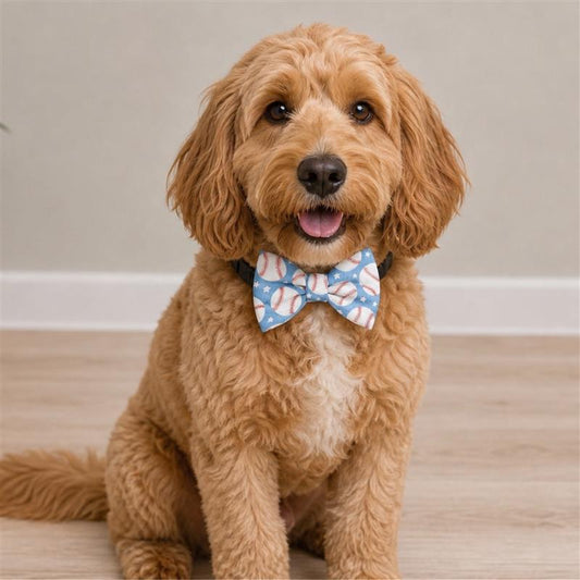 Homerun Heroes Pet Bow Tie