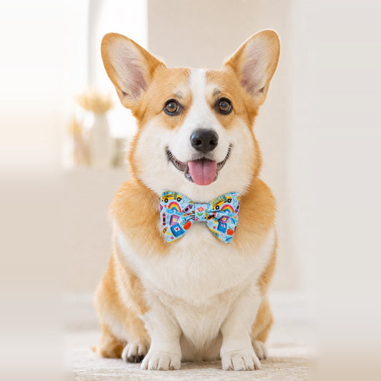Back to School Pet Bow Tie