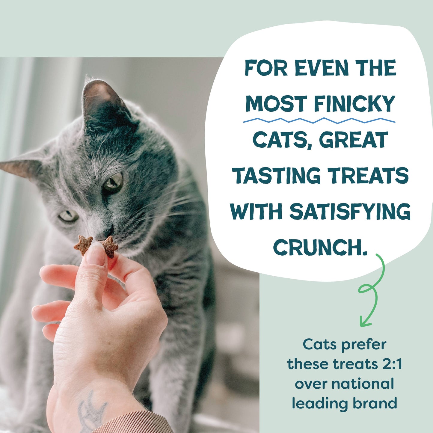 Chicken & Catnip Cat Treats — Digestive Support
