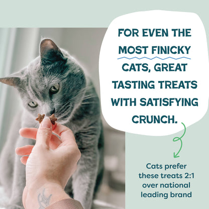 Chicken & Catnip Cat Treats — Digestive Support