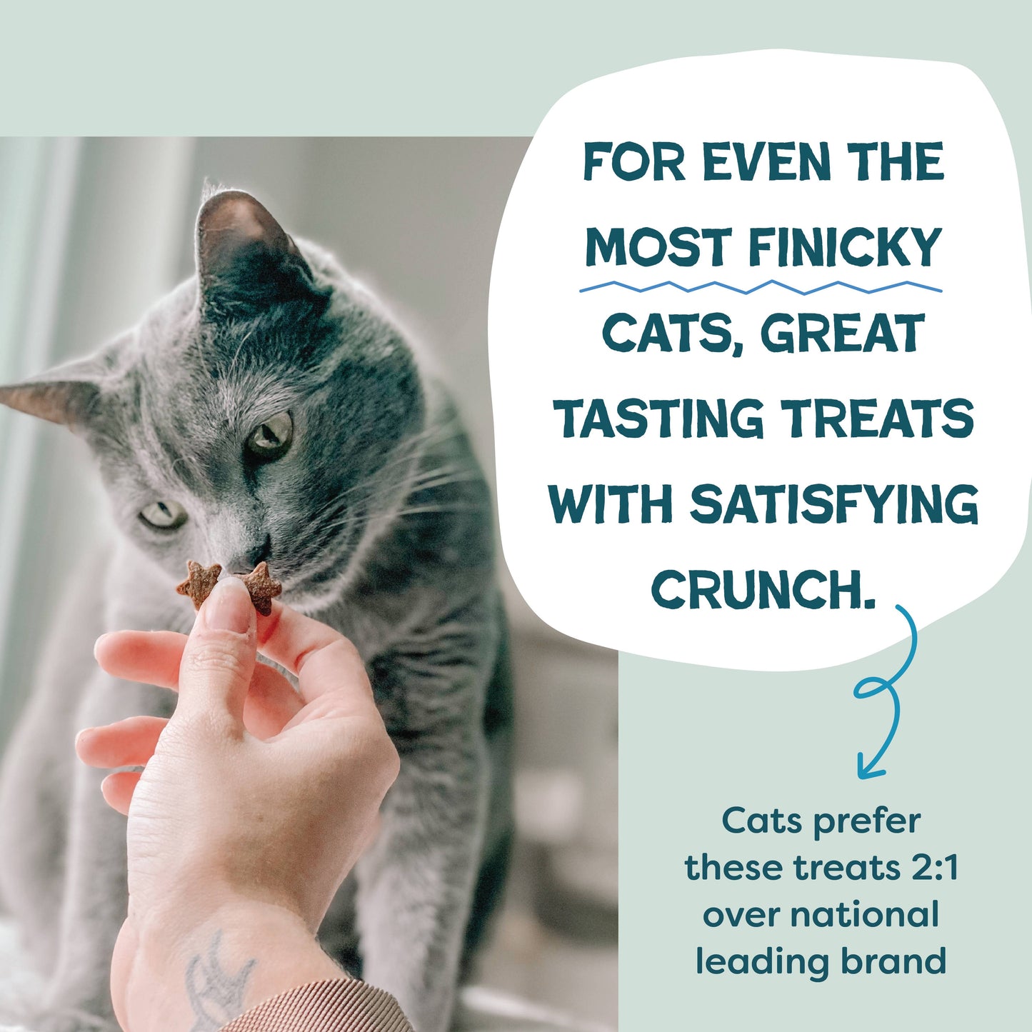 Tuna & Catnip Cat Treats — Skin & Coat Support