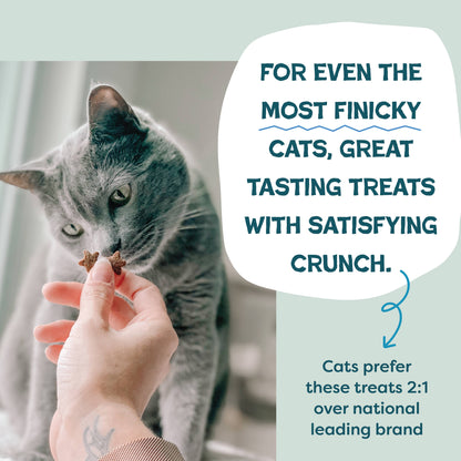 Tuna & Catnip Cat Treats — Skin & Coat Support
