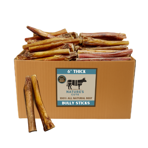 6" Thick Bully Sticks $1.70/ Stick (Case Price)