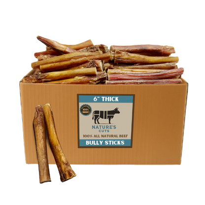 6" Thick Bully Sticks $1.70/ Stick (Case Price)