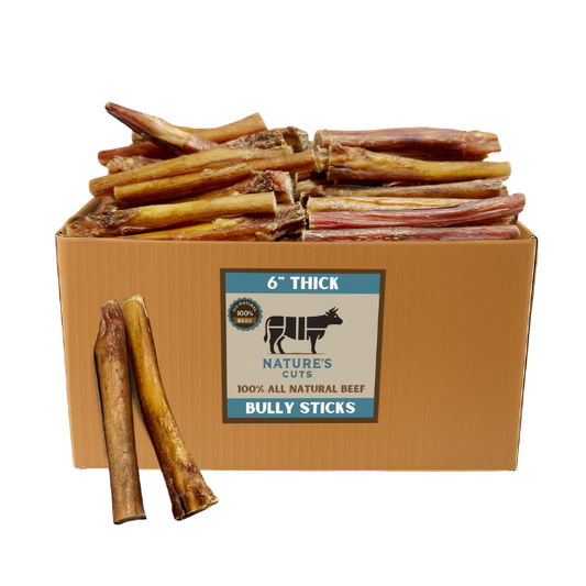 6" Thick Bully Sticks $1.70/ Stick (Case Price)