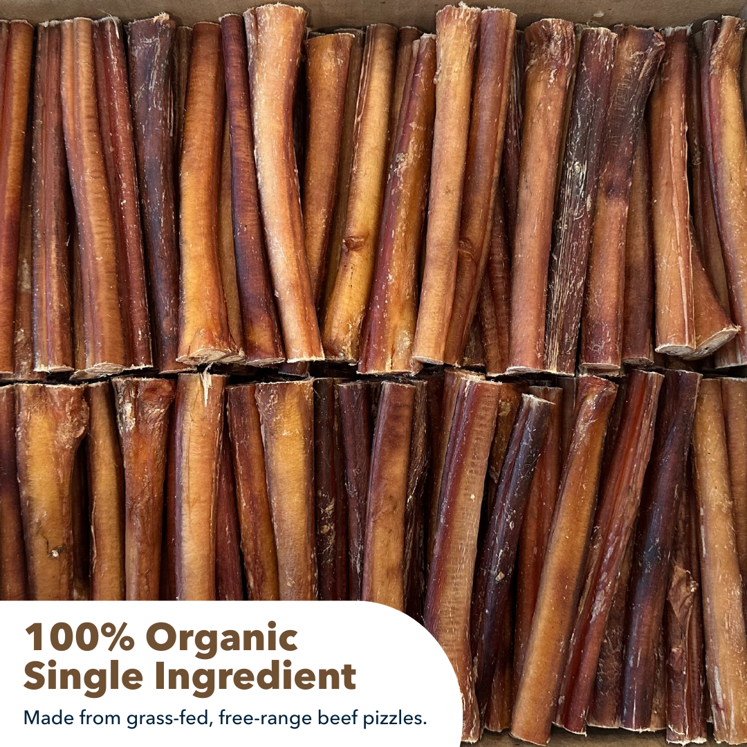 6" Thick Bully Sticks $1.70/ Stick (Case Price)