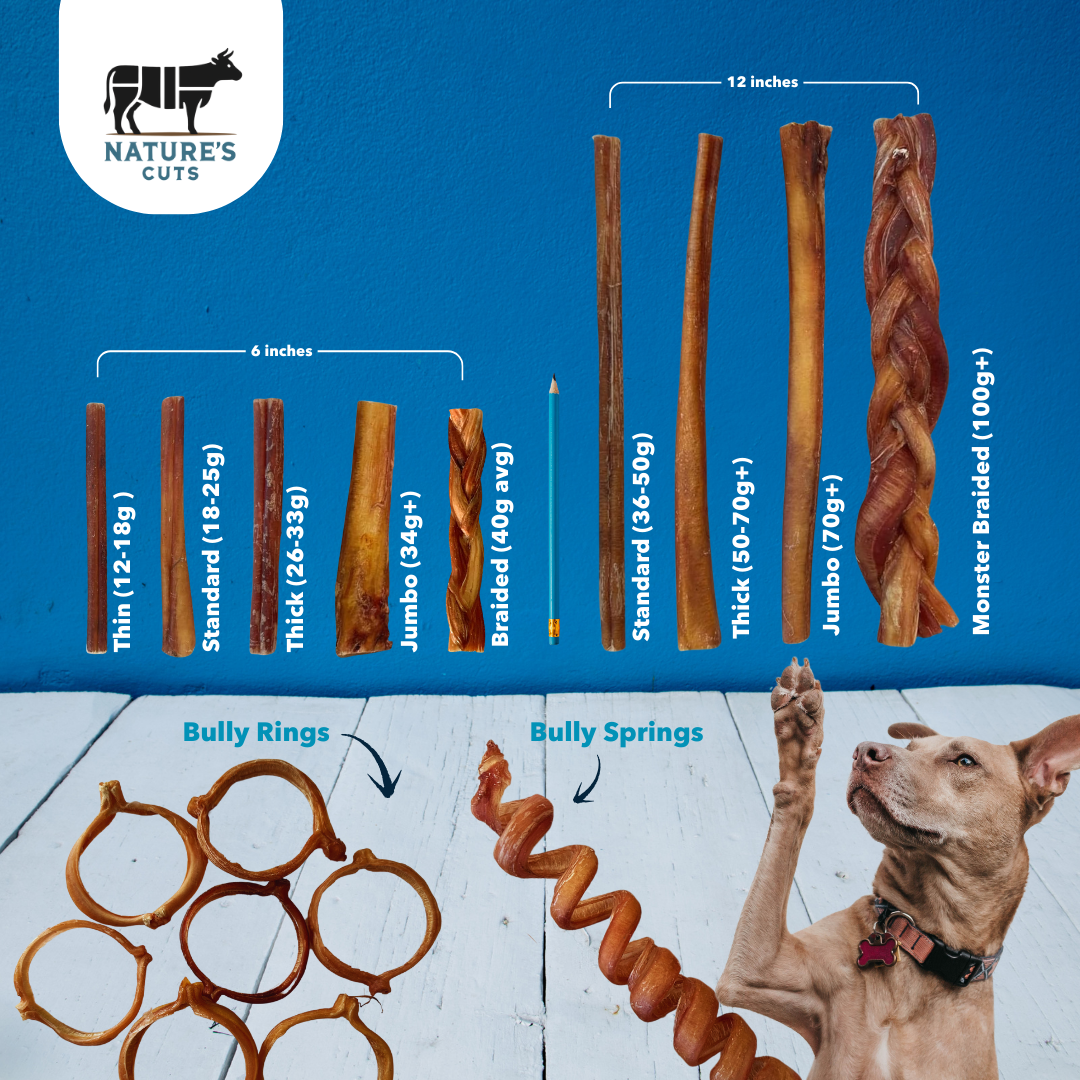 6" Standard Braided Bully Sticks $1.84/ stick (Case Price)