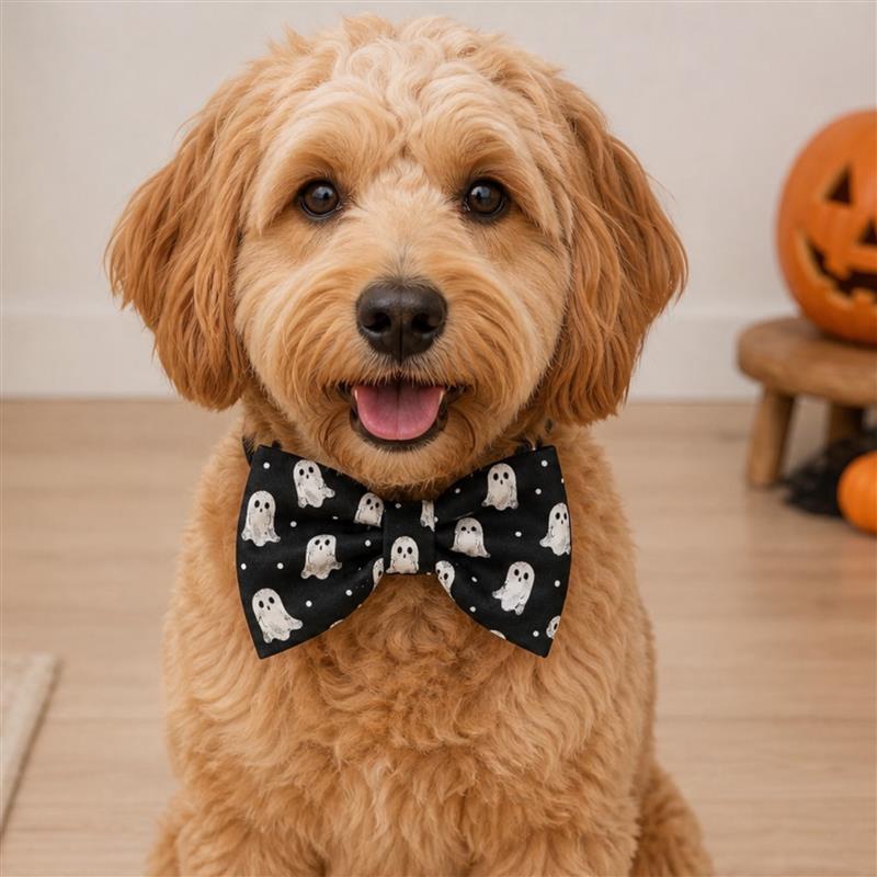 Boo Crew Pet Bow Tie