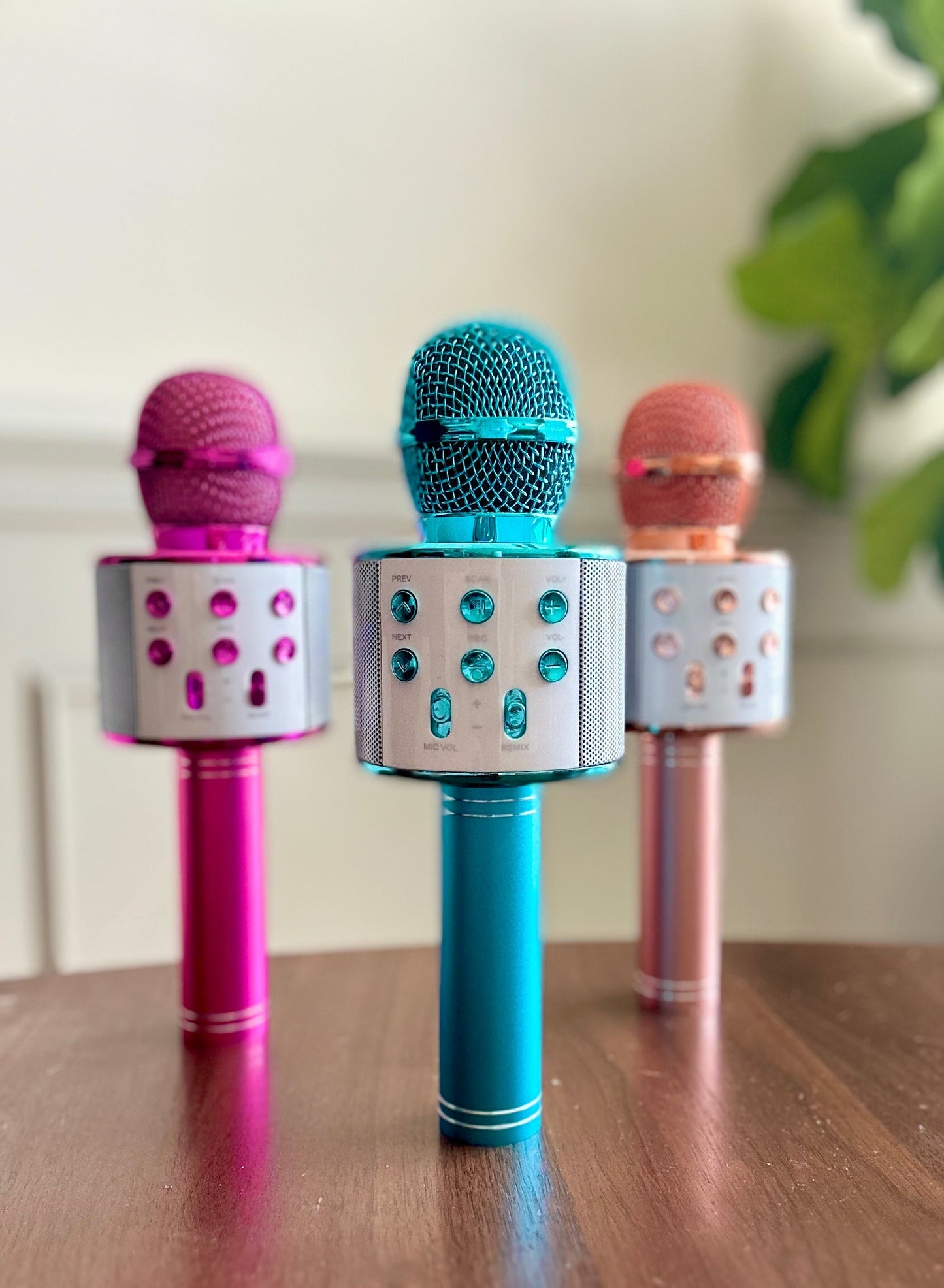 Rockstar Karaoke Microphone in Assorted Colors - Three Bears Boutique