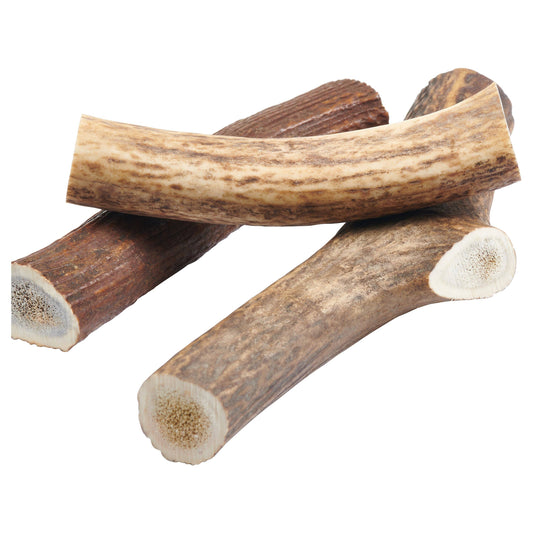 Grade A Whole Elk Antler Dog Chews - Whole - Three Bears Boutique